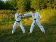 karate Ostrowiec, karate w Ostrowcu, klub karate Ostrowiec, Kielce, Karate,