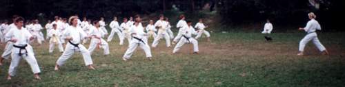 klub karate w Ostrowcu, karate, karate Ostrowiec, sztuki walki Ostrowiec, sporty walki Ostrowiec, judo, tae kwon do, boks